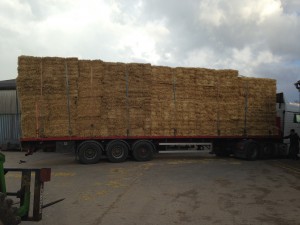 602 small bales loaded and we didn't man handle 1