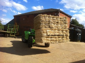 Loading two packs of straw onto the lorry - 28 bales at once