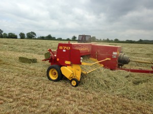 Baling the seed Haylage