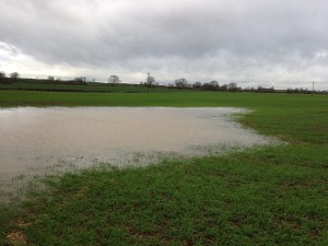 The worst of the water logging on the farm